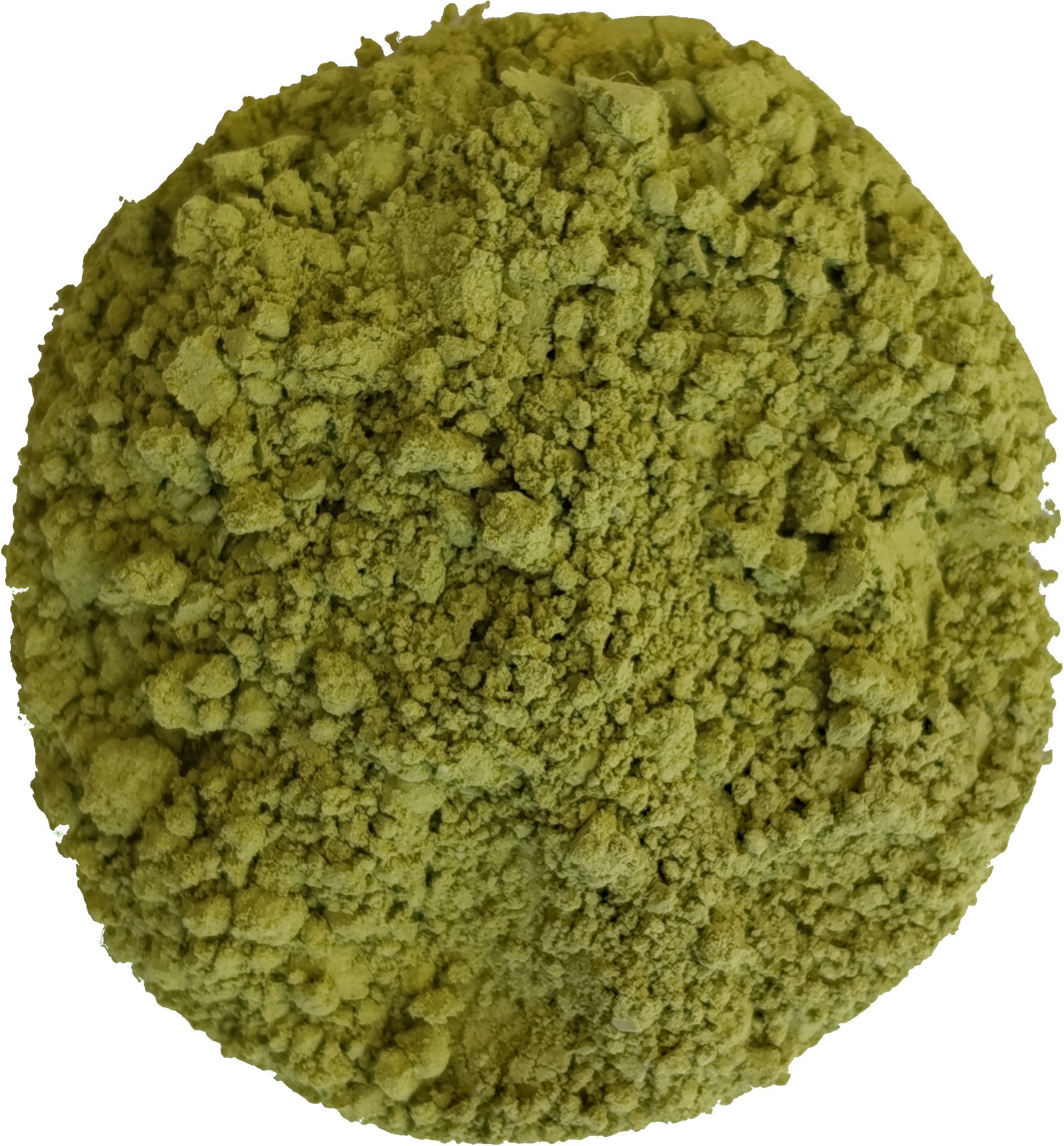 Daily Matcha